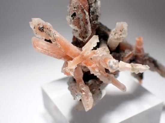 ロシア産人参水晶・松茸水晶- 11MINERAL『一つ一つ厳選した鉱物、宝石