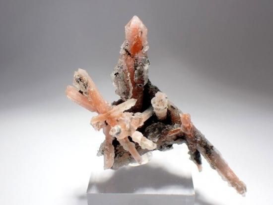 ロシア産人参水晶・松茸水晶- 11MINERAL『一つ一つ厳選した鉱物、宝石