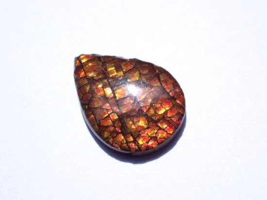 宝石ルース アンモライト 化石 Ammolite /約9.8g/1個 カナダ産