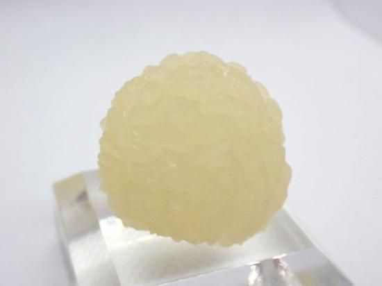 貝付きイエロー 燐光カルサイト カルサイト（燐光）- 11MINERAL『一つ一つ厳選した鉱物、宝石