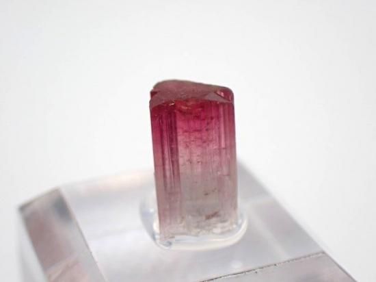 no.0392 落ち葉舞うクォーツ　墨のトルマリン　一点物 トルマリン- 11MINERAL『一つ一つ厳選した鉱物、宝石、天然石