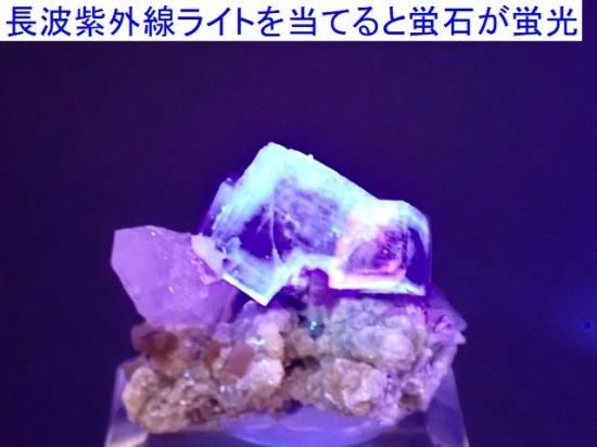 蛍石・水晶（蛍光）- 11MINERAL『一つ一つ厳選した鉱物、宝石
