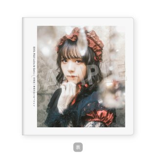 IDOL FILE Vol.28｜チェキアルバム［日南遥｜手羽先センセーション］A