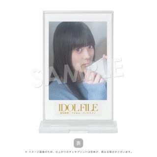 IDOL FILE Vol.29åɡαļåޥ롦ѥ饤A