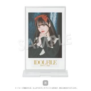IDOL FILE Vol.35åɡβ̤⤨GigiLA