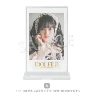 IDOL FILEåɡSAKURARIRYDAYB