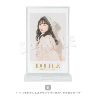 IDOL FILEåɡηлҡå롼֥åB