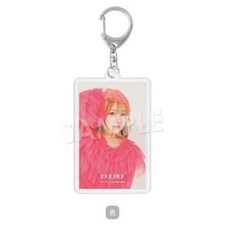 IDOL FILEåϥѥۥΥॿthe mishmash