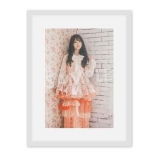 IDOL FILEA4̿ΰȤRain TreeA