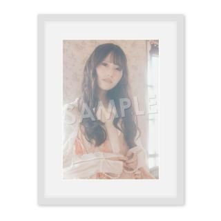 IDOL FILEA4̿ΰȤRain TreeB