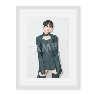 IDOL FILEA4̿Τåե륹꡼A