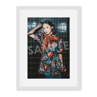 IDOL FILEA4̿ϥåեեΥ󥹡A