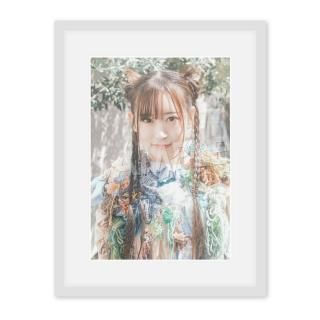 IDOL FILEA4̿ΥޥҥGREAT MONKEYSA