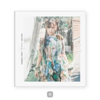 IDOL FILEåХΥޥҥGREAT MONKEYSA