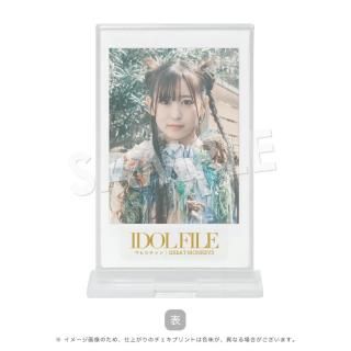 IDOL FILEåɡΥޥҥGREAT MONKEYSA