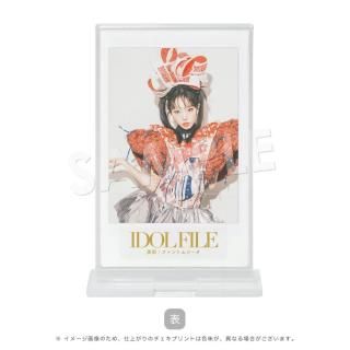 IDOL FILEåɡåեȥॷA
