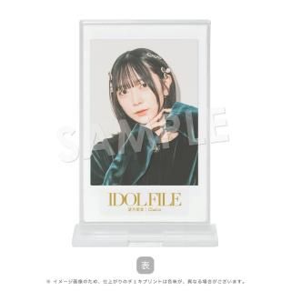 IDOL FILEåɡ˾¡ChalcaB