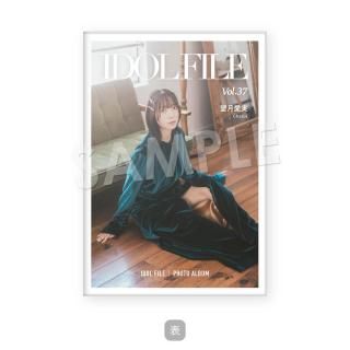 IDOL FILEåݥȥɥХ˾¡Chalca