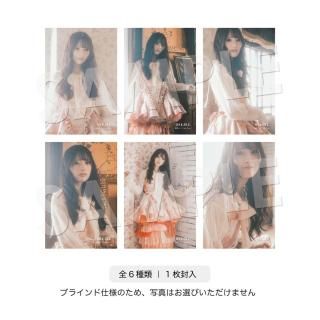 IDOL FILEåݥȥɡΰȤRain Tree