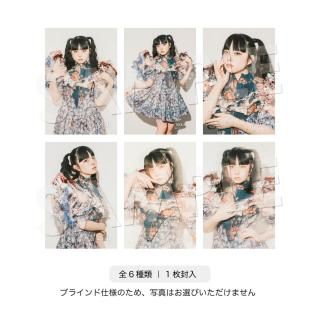 IDOL FILEåݥȥɡ۲֡åեȥॷ