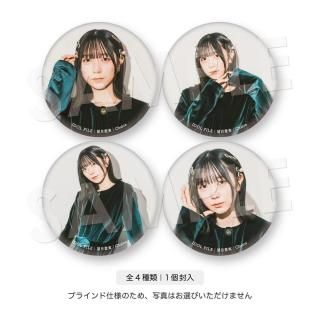 IDOL FILEḁ̊Хå˾¡Chalca