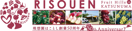 桃と葡萄の専門店|山梨県産の桃とシャインマスカット通信販売　理想園