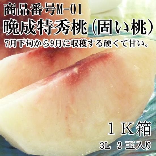 晩成 特秀桃(かたい桃)甘い品種で選んだ厳選桃3L～4L 1K化粧箱