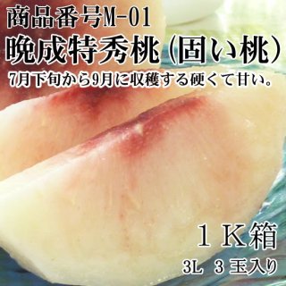 晩成 特秀桃(かたい桃)甘い品種で選んだ厳選桃3L〜4L　1Ｋ化粧箱ギフト