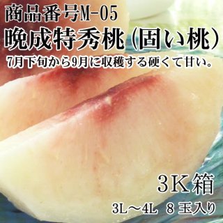 晩成 特秀桃(かたい桃)甘い品種で選んだ厳選桃 3L〜4L 8玉　3Ｋ箱ギフト