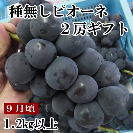 ももぶどう専用 苺メロンスイカ桃ぶどう様の専用 苺メロンスイカ桃