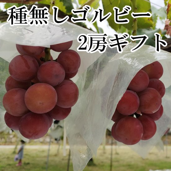 クール便】ゴルビー2房（900g以上） - 桃と葡萄の専門店|山梨県産の桃とシャインマスカット通信販売 理想園