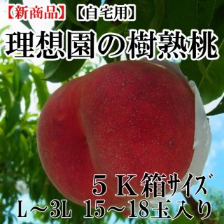 理想園の樹熟桃　５Ｋ箱15玉〜18玉入り（自宅用）