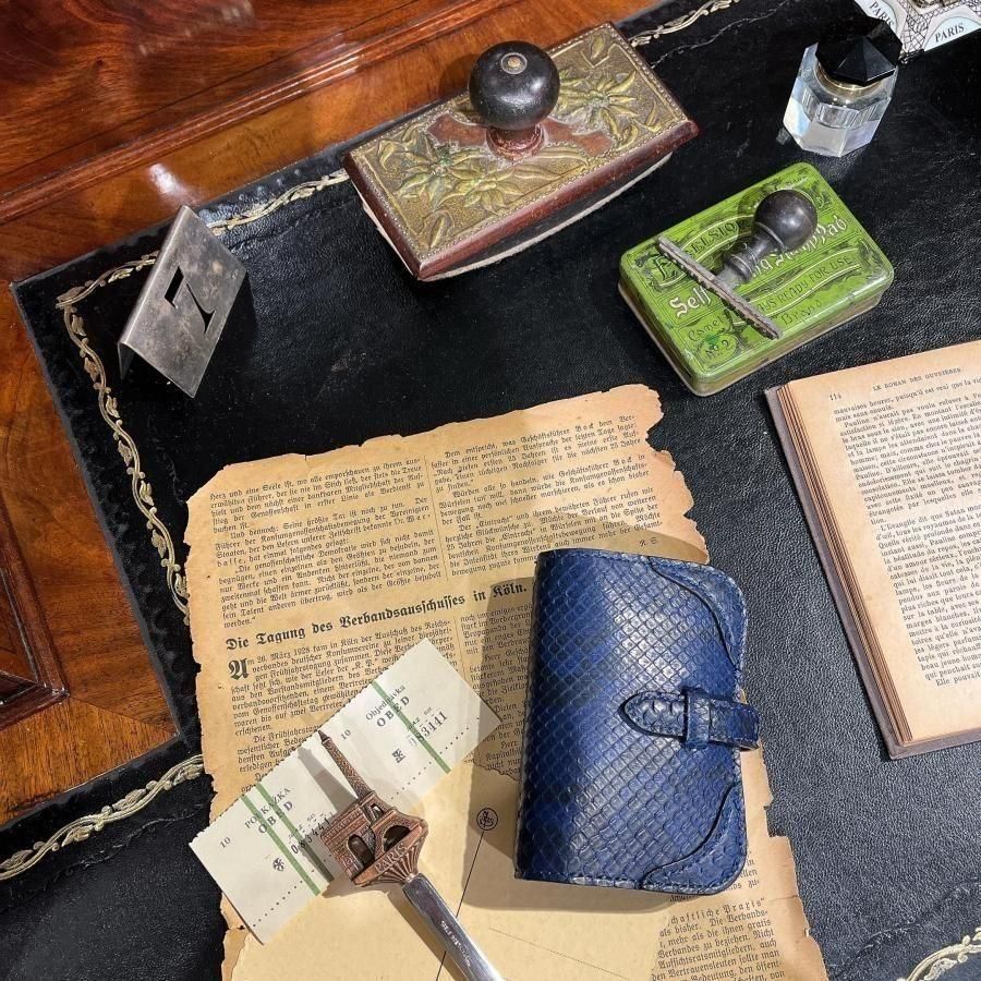 眼*郎様 WILDSWANS CASA 墨染め パイソン 限定 ワイルドスワンズ 眼*郎