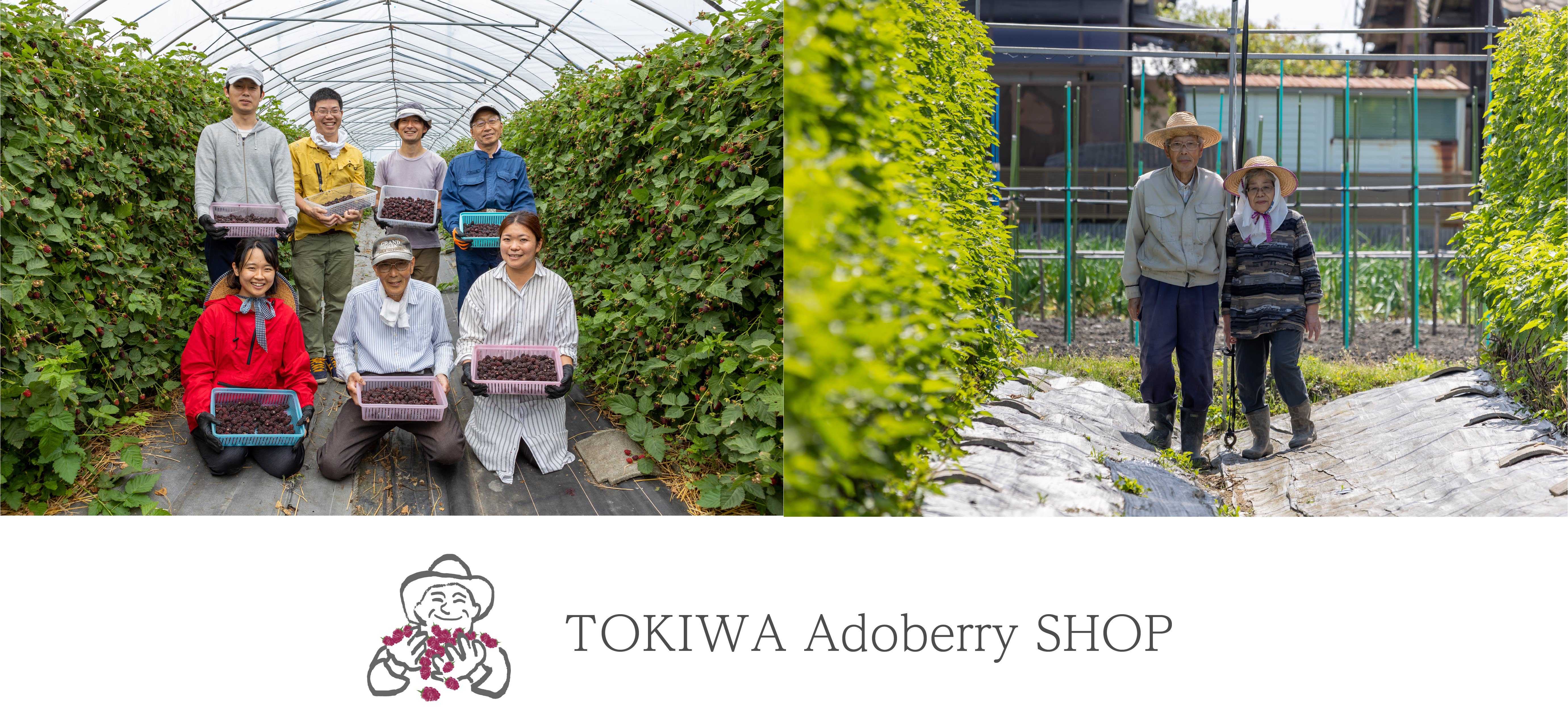 TOKIWA Adoberry SHOP