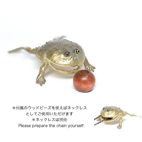 Nina マルメタピオカガエル Lepidobatrachus Laevisのイヤー噛む イヤーカフ ネコポスは送料無料 Nina