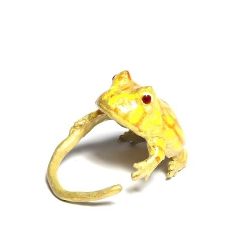 新着商品 クランウェルツノガエル カエル 新着商品 クランウェルツノガエル カエル