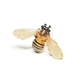 昆虫類/Insects - Nina