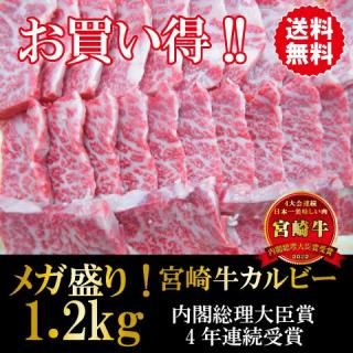 ᥬꡪܺӡ1.2Kg̵