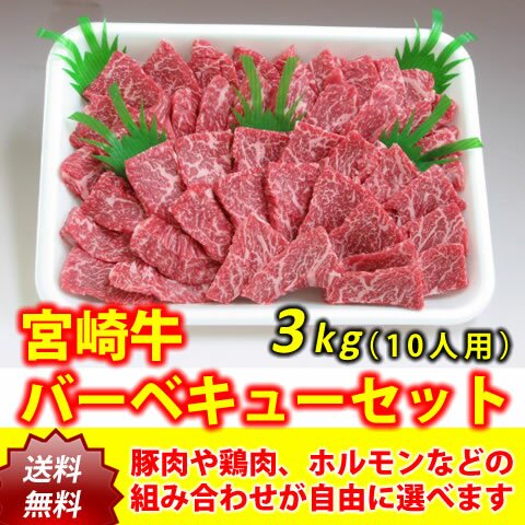 宮崎牛バーベキューワイワイセット10人用（3kg） - 肉のながやま オンラインショップ 【公式通販】