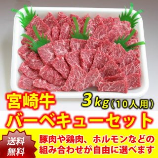 宮崎牛バーベキューワイワイセット10人用（3kg）【送料無料】