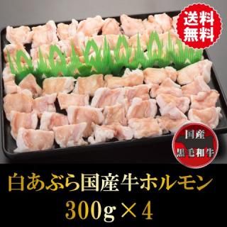 򤢤֤񻺵ۥ 3004  ۥ С٥塼 BBQ  ۥ   ۥƤ ̵