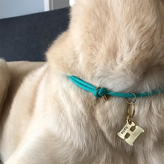 ͥ
