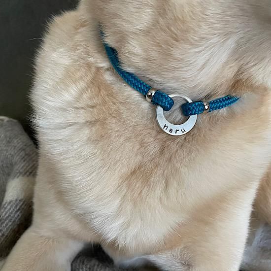 ͥ