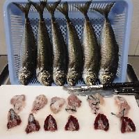 津本式・究極の血抜き」で「仕立て」たお魚をお買い上げの皆様へ - トラフグ養殖の有限会社 保栄水産