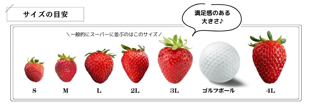 SIRIO - いちご Amazon.co.jp: フリーズドライ イチゴ 60g (ダイスカット
