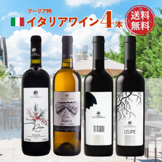 <img class='new_mark_img1' src='https://img.shop-pro.jp/img/new/icons61.gif' style='border:none;display:inline;margin:0px;padding:0px;width:auto;' />イタリア ワインセット 赤白4本 Colle Petrito プーリア州