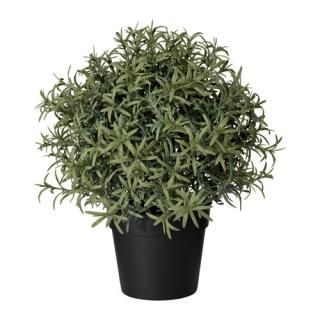 IKEA  ͹տʪ ޥ꡼ 9cm z40382115 FEJKA ե