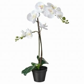 IKEA  ͹տʪ 4 Orchid ۥ磻 12x58cm m20294940 FEJKA ե
