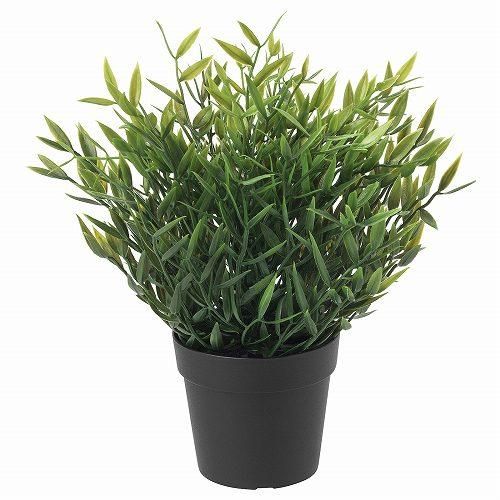Ikea イケア 人工観葉植物 室内 屋外用 House Bamboo 26x9cm M Fejka 株式会社クレール Ikeaイケアの製品を全国送料無料でお届け ネット通販 Ikea イケア 人工観葉植物 室内 屋外用 House Bamboo 26x9cm M Fejka 株式会社クレール Ikeaイケアの製品を全国送料無料でお届け ネット通販