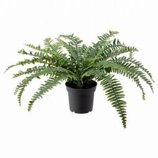 IKEA  ͹տʪ 5   ӥ 15x41cm m10468455 FEJKA ե